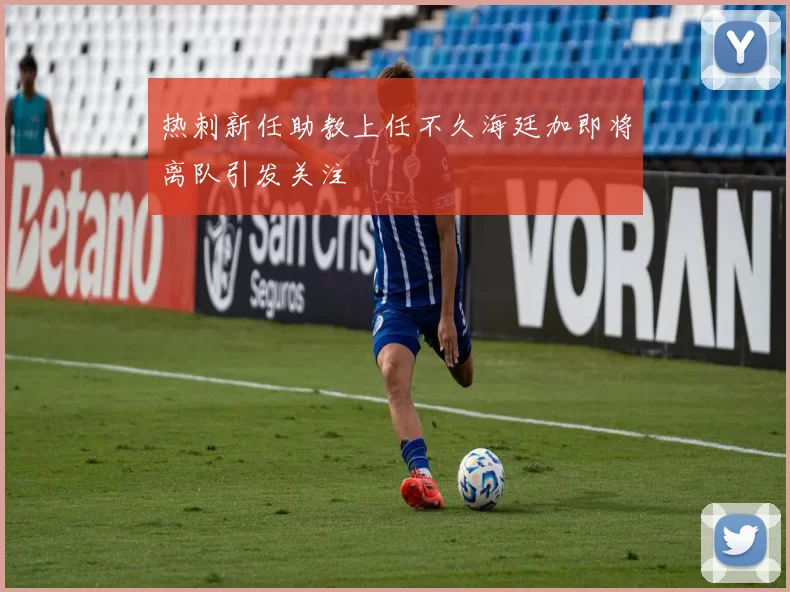 热刺新任助教上任不久海廷加即将离队引发关注