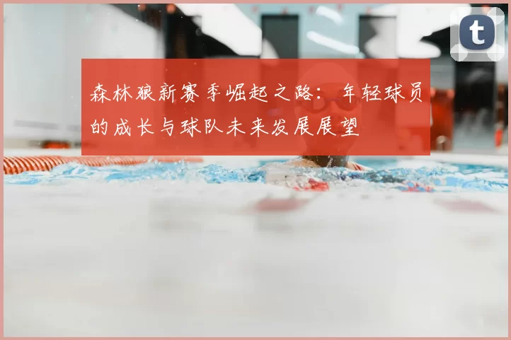 森林狼新赛季崛起之路：年轻球员的成长与球队未来发展展望
