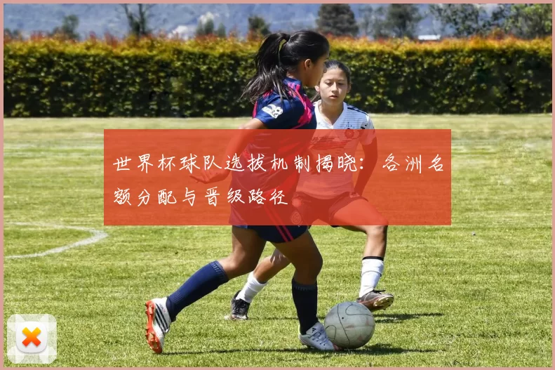 世界杯球队选拔机制揭晓:各洲名额分配与晋级路径
