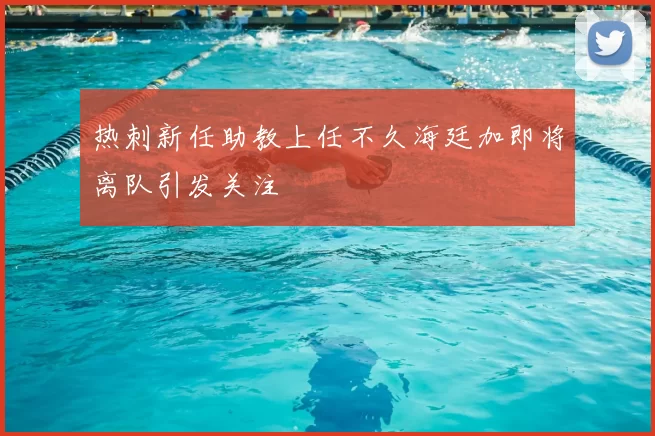 热刺新任助教上任不久海廷加即将离队引发关注
