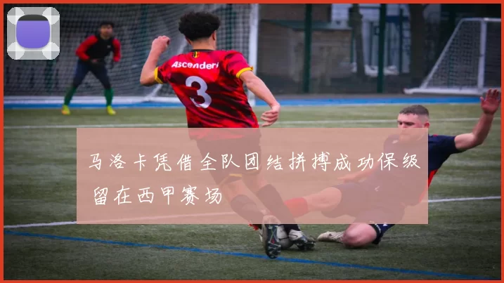 马洛卡凭借全队团结拼搏成功保级 留在西甲赛场