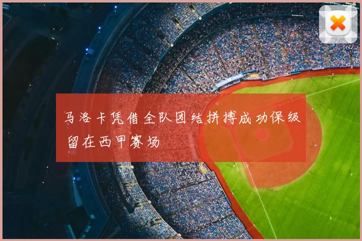 马洛卡凭借全队团结拼搏成功保级 留在西甲赛场