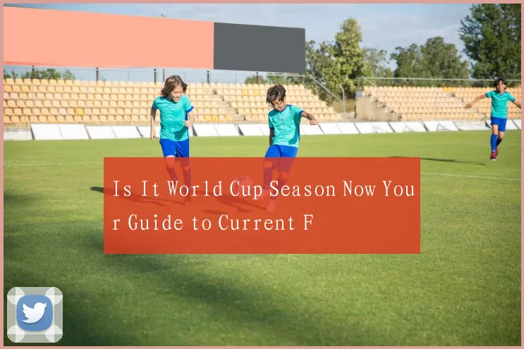 Is It World Cup Season Now Your Guide to Current F