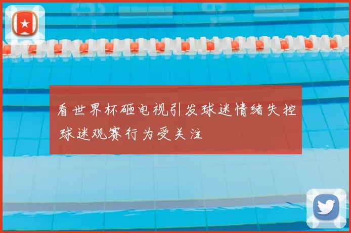 看世界杯砸电视引发球迷情绪失控 球迷观赛行为受关注