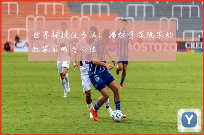 世界杯投注专访：揭秘资深玩家的独家策略与心法
