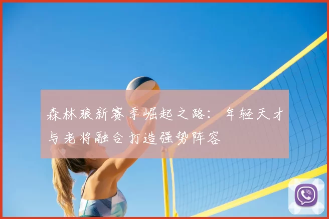 森林狼新赛季崛起之路：年轻天才与老将融合打造强势阵容