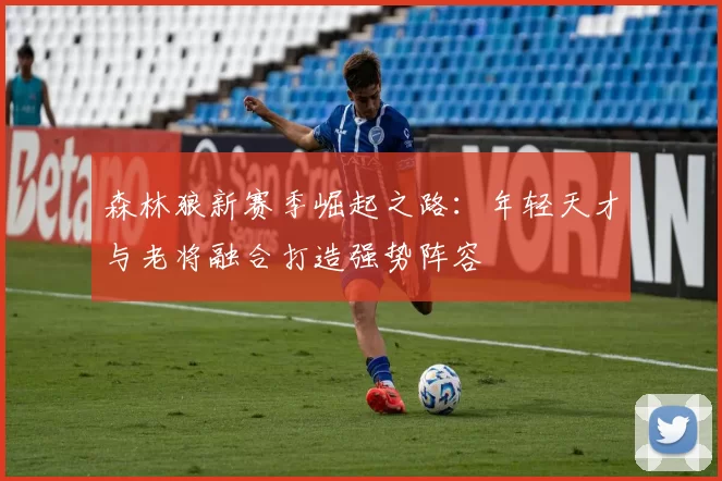 森林狼新赛季崛起之路：年轻天才与老将融合打造强势阵容