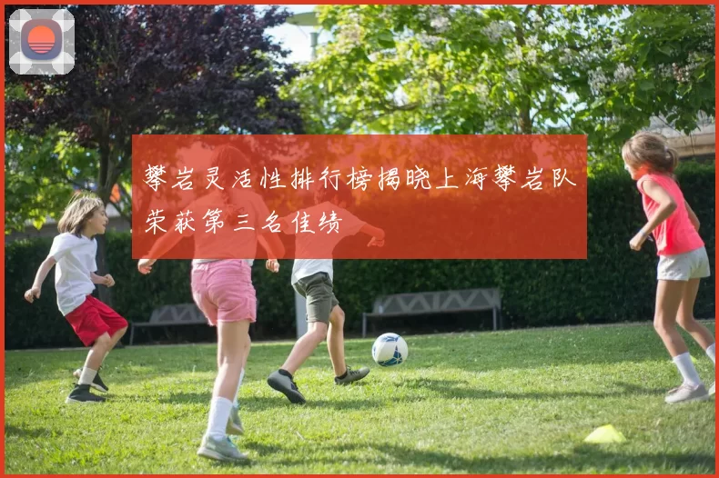 攀岩灵活性排行榜揭晓上海攀岩队荣获第三名佳绩