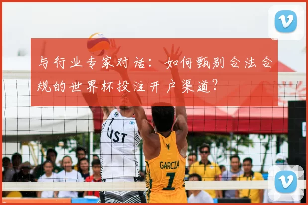 与行业专家对话:如何甄别合法合规的世界杯投注开户渠道?