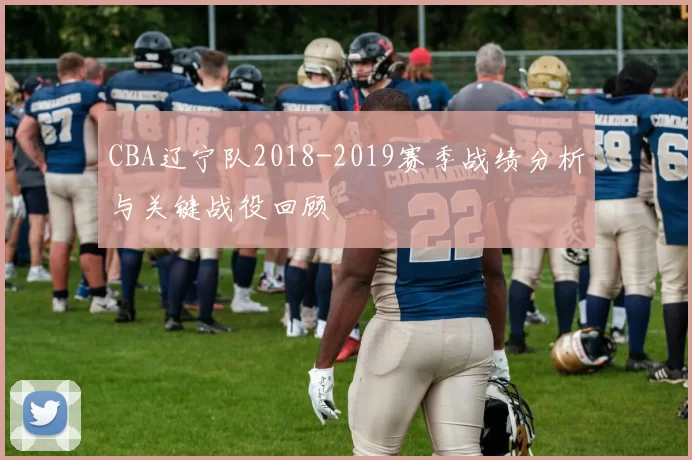 CBA辽宁队2018-2019赛季战绩分析与关键战役回顾