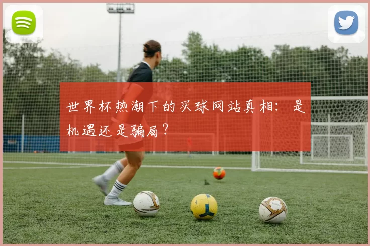 世界杯热潮下的买球网站真相：是机遇还是骗局？