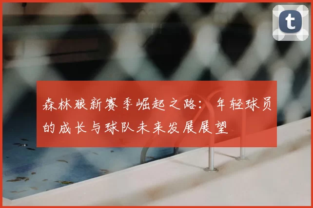 森林狼新赛季崛起之路：年轻球员的成长与球队未来发展展望