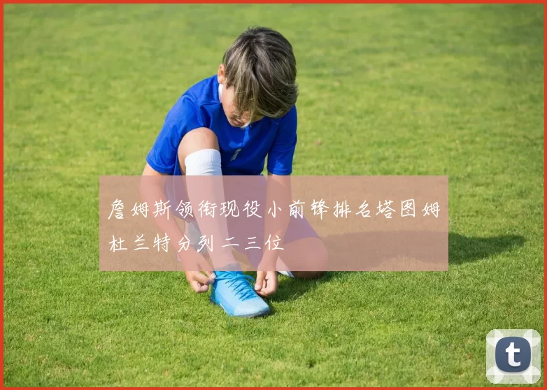 詹姆斯领衔现役小前锋排名塔图姆杜兰特分列二三位