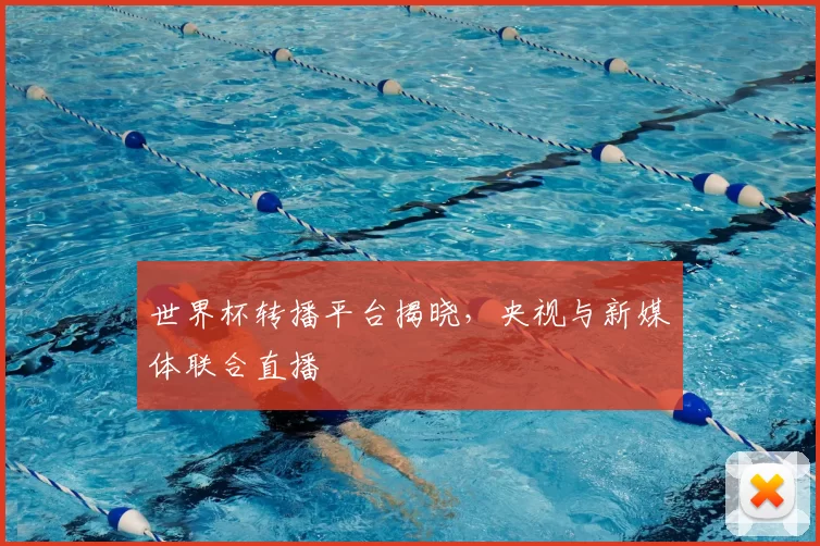 世界杯转播平台揭晓,央视与新媒体联合直播