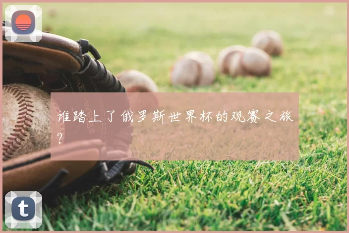 谁踏上了俄罗斯世界杯的观赛之旅?
