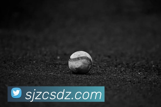 星空体育发展历程